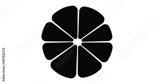 A striking black and white graphic depicts a circular arrangement of petal like shapes radiating from a central point