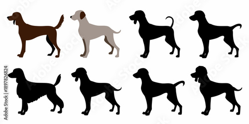 Stylized silhouettes of various irish red and white setter dogs