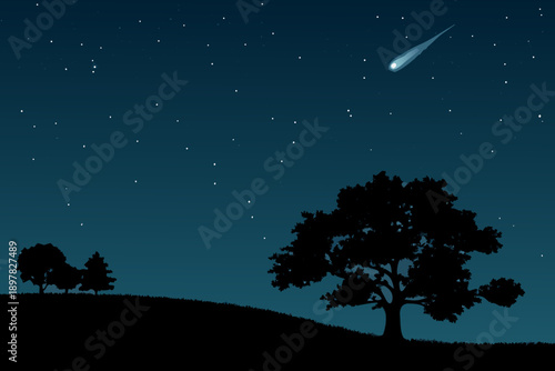 A dark nighttime scene featuring a shooting star and silhouetted trees