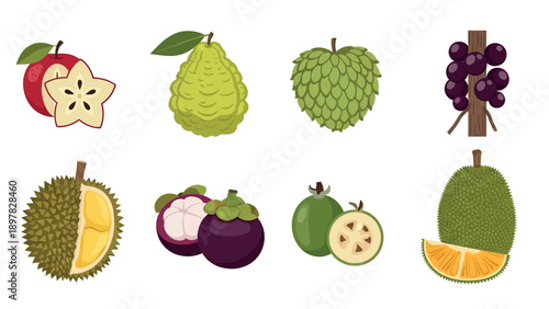 A vibrant collection of fresh tropical and exotic fruits featuring durian, mangosteen, jackfruit, jabuticaba, sugar apple, and feijoa, perfect for healthy eating campaigns or food market
