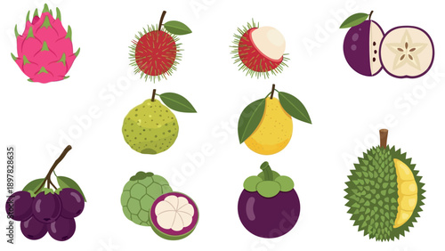 A colorful selection of fresh exotic tropical fruits such as dragon fruit, rambutan, mangosteen, durian, and guava, valuable for healthy diet promotions and culinary recipe publications.