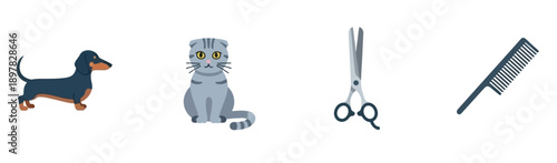 Adorable dachshund dog, cute Scottish Fold cat, professional grooming scissors, and a comb for pet care services, veterinary websites, or animal lover content.