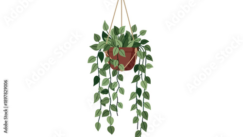 Decorative indoor plant with lush green leaves gracefully trailing from a terracotta pot, perfect for adding a touch of natural elegance to home decor and botanicalthemed marketing