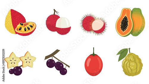 Colorful exotic tropical fruits collection perfect for healthy food concepts market advertisements menu graphics and culinary product packaging