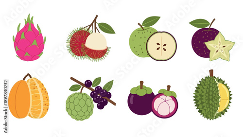 Assortment of fresh and exotic tropical fruits in a vibrant flat graphic style for healthy food and natural product designs