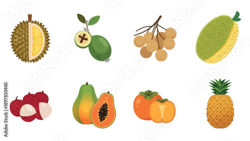Assortment of vibrant tropical fruits including durian, feijoa, longan, jackfruit, lychee, papaya, persimmon, and pineapple for culinary and healthrelated content