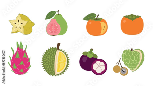 Collection of colorful fresh tropical fruits featuring star fruit, guava, persimmon, dragon fruit, durian, mangosteen, longan, and sugar apple for healthy eating, exotic recipes, and food