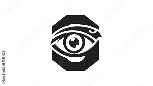 Modern Stylized Eye Logo Icon in Octagonal Frame
