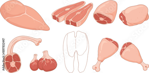 Raw Meat Cuts Set with Chicken Breast Drumsticks Lamb Chops Pork Sausage and Beef Pieces Isolated Food Vector Illustration