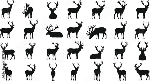 Deer silhouettes collection set, wild stag and reindeer poses, forest animal icons, black vector illustration for hunting, wildlife, nature design