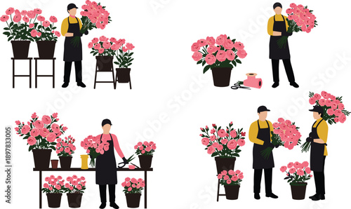 Professional florist, arranging, pink, roses, in, flower, shop, bouquet, preparation, vector, illustration, gardening, workspace, blooming, plants, retail, decor, teamwork, design