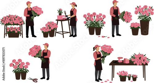 Professional florist, arranging, pink, roses, in, flower, shop, floral, design, bouquet, preparation, vector, illustration, gardening, workspace, blooming, plants, retail, decor