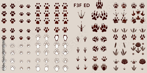 Assorted animal footprints and paw prints on a beige background