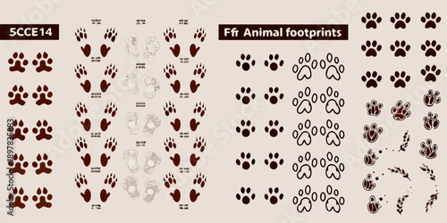 Various animal footprints and paw prints displayed in a grid pattern