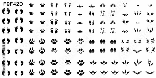 Collection of animal tracks and silhouettes in a monochrome pattern
