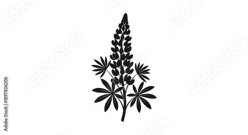 A striking black silhouette showcases a lupine flower with detailed petals and a prominent stem high quality professional