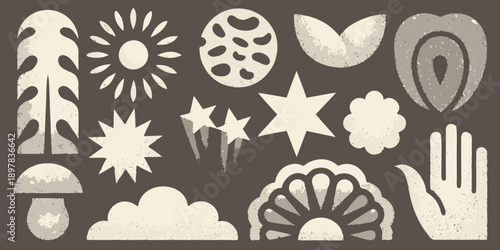 Abstract botanical and celestial shapes in a muted color palette