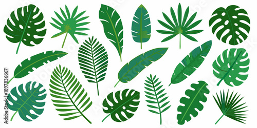 A collection of diverse tropical leaves in varying shades of green