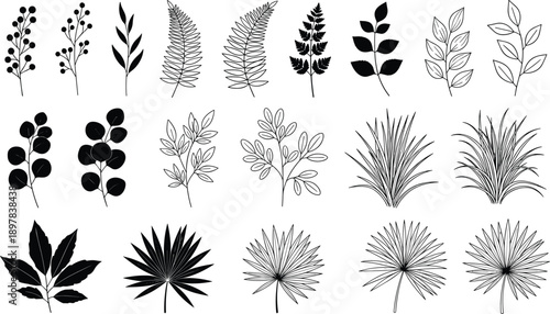 Hand drawn botanical leaves, tropical fern silhouettes, floral branch sketches, forest foliage elements, minimalist plant greenery icons, organic nature vector.