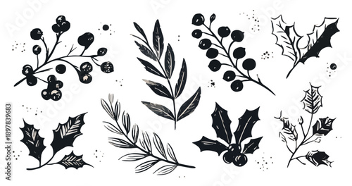 Handgezeichnete Illustrationen von Zweigen mit Beeren und Blättern, isoliert auf transparentem Hintergrund.