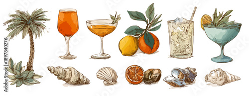 Sommerliche Getränke und tropische Elemente mit Muscheln und Früchten auf transparentem Hintergrund