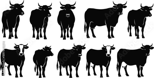Cow silhouette vector set, livestock animal illustration, farm cattle artwork, rural agriculture design outline, dairy mammal icon collection, stock vector