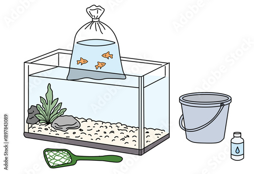 Acclimating Fish In Bag Before Releasing Into Aquarium Tank For Proper Water Temperature And Safe Fish Care Illustration