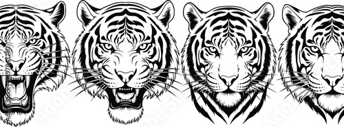 Tiger face silhouette vector set, roaring feline illustration, wild animal artwork, predator design outline, jungle wildlife icon collection, stock vector