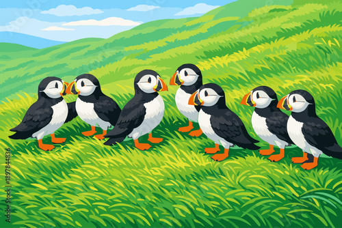 Puffins nest in coastal cliffs and burrows