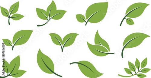 Diverse collection of fresh green leaf vector illustrations on a clean white background