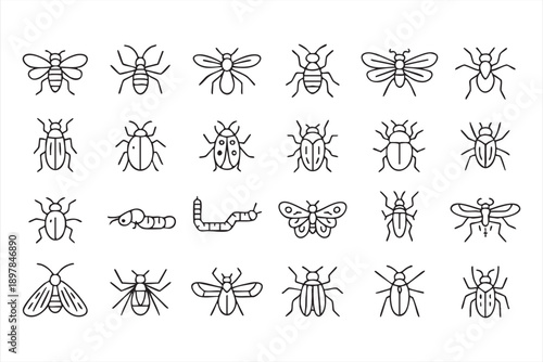 Black And White Insect Species Icons With Labels