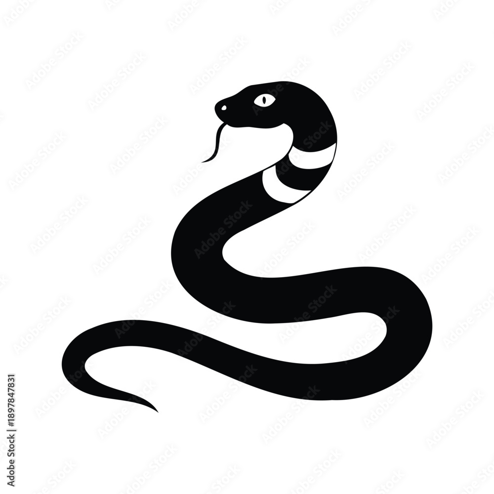 Fototapeta premium Black and white silhouette of a cobra snake vector illustration, A minimalistic black and white silhouette of a cobra snake in a striking pose, perfect for vector illustration use