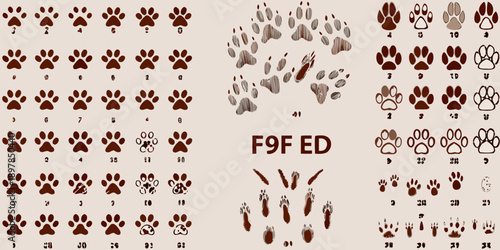 Collection of animal paw prints with numbers and a hexadecimal code