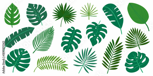 Collection of vibrant green tropical leaves on a white background