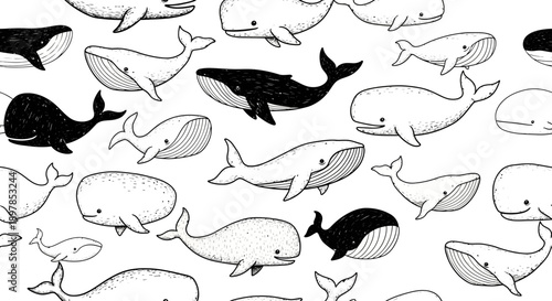 Whale Patterns in Black and White, Marine Animals, Graphic Illustration, Sea Life
