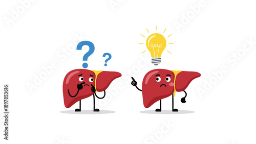 Confused human liver character with question marks next to a smart liver organ pointing at a glowing yellow light bulb idea.