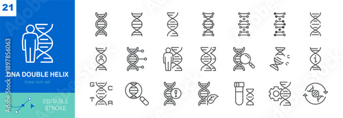 DNA Double Helix Icons Set. Genetics, Gene Editing, Mutation, Research, Test Tube, GMO, Bioengineering, and Medical Science. Linear Vector Pack.
