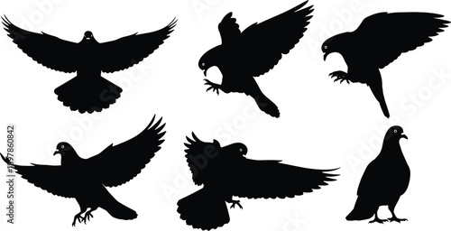 Black silhouette pigeons in various flying and standing poses dove bird