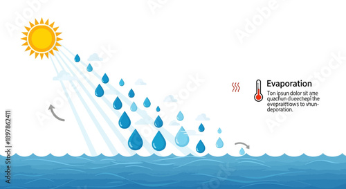 Evaporation Process Sun Water Cycle
