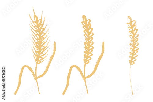 Set of hand drawn cereal wheat oat rye barley rice ears spikelet clipart Organic wheat bread agriculture farming harvest healthy food Single element for design print packaging label decor