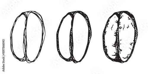 Set of hand drawn fresh roasted coffee bean Arabica robusta seed doodle Single element for design print packaging label decor