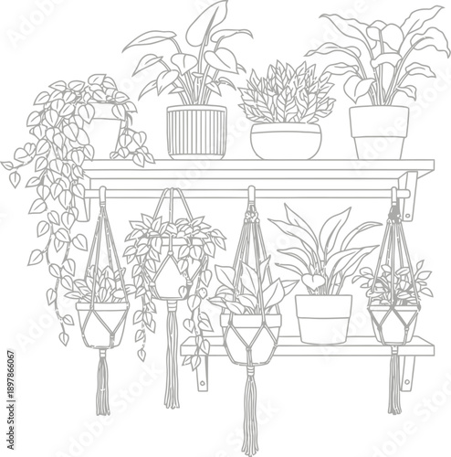 Line art illustration showcasing a variety of indoor potted plants and macrame hangers displayed neatly upon a simple wooden wall shelf for coloring.
