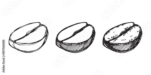 Set of hand drawn fresh roasted coffee bean Arabica robusta seed doodle Single element for design print packaging label decor
