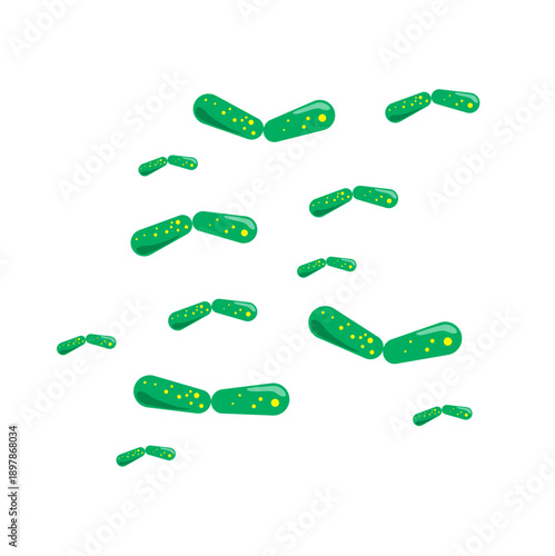Bacilli illustration