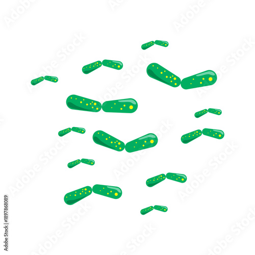 Bacilli illustration