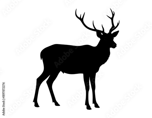 Silhouette of a stag with large antlers, standing on a white background