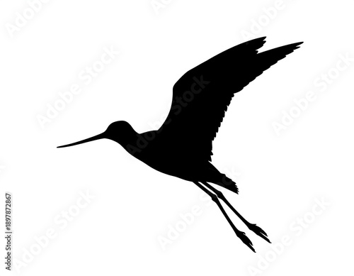 Silhouette of a bird with long legs and beak, mid-flight