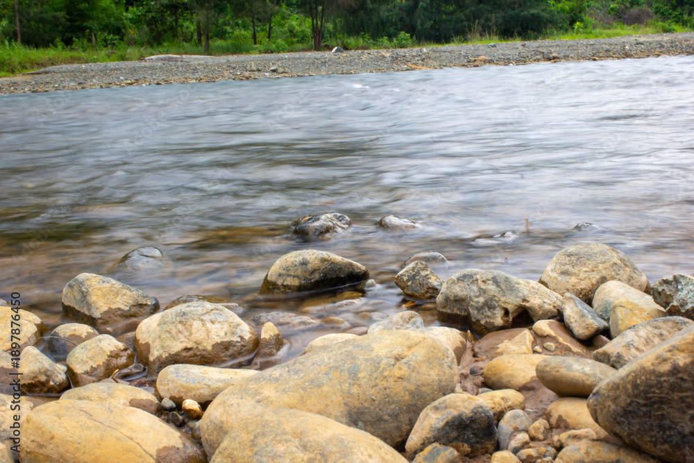Obraz premium small rock on shallow river, the wave is smooth and the water is clear, with pine tree as background and many plantation, with some dead small wood in front, the rock is black and yellow from ore