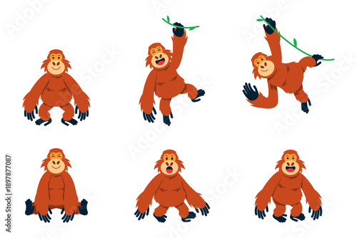 Orangutan Cartoon Character Set