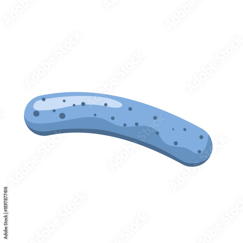 Lactobacillus probiotic bacteria